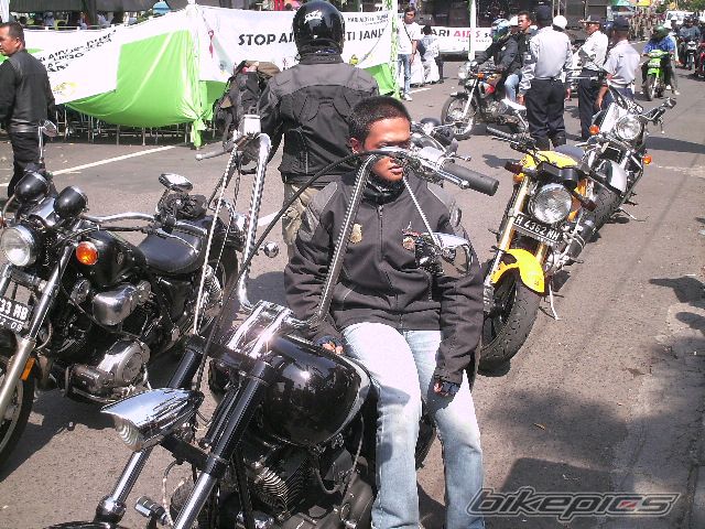 2008 HARLEY DAVIDSON CUSTOM | Picture 1133557 motorcycle photo