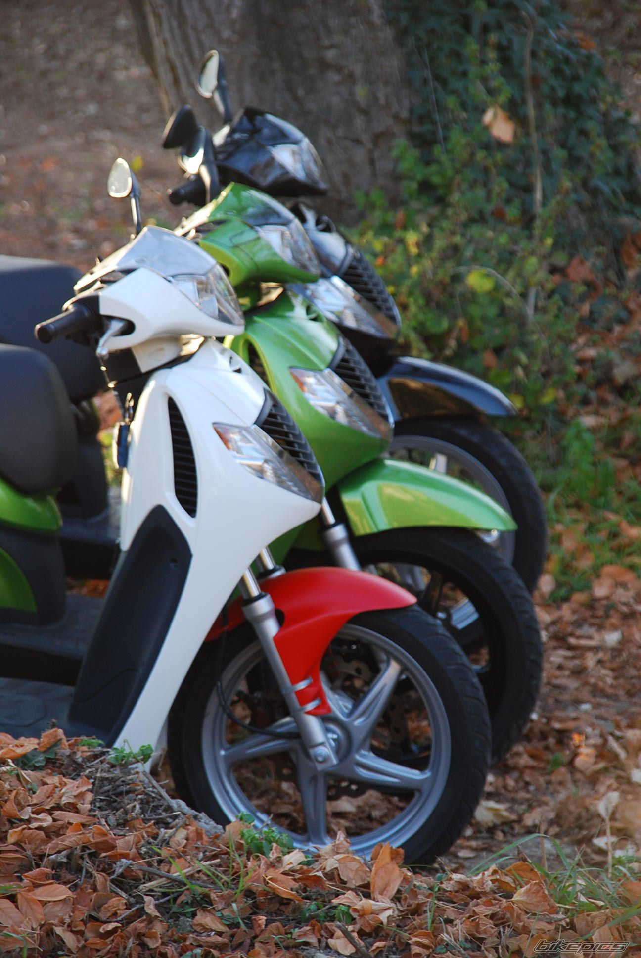 2008 HONDA SH 150 | Picture 1133890 motorcycle photo