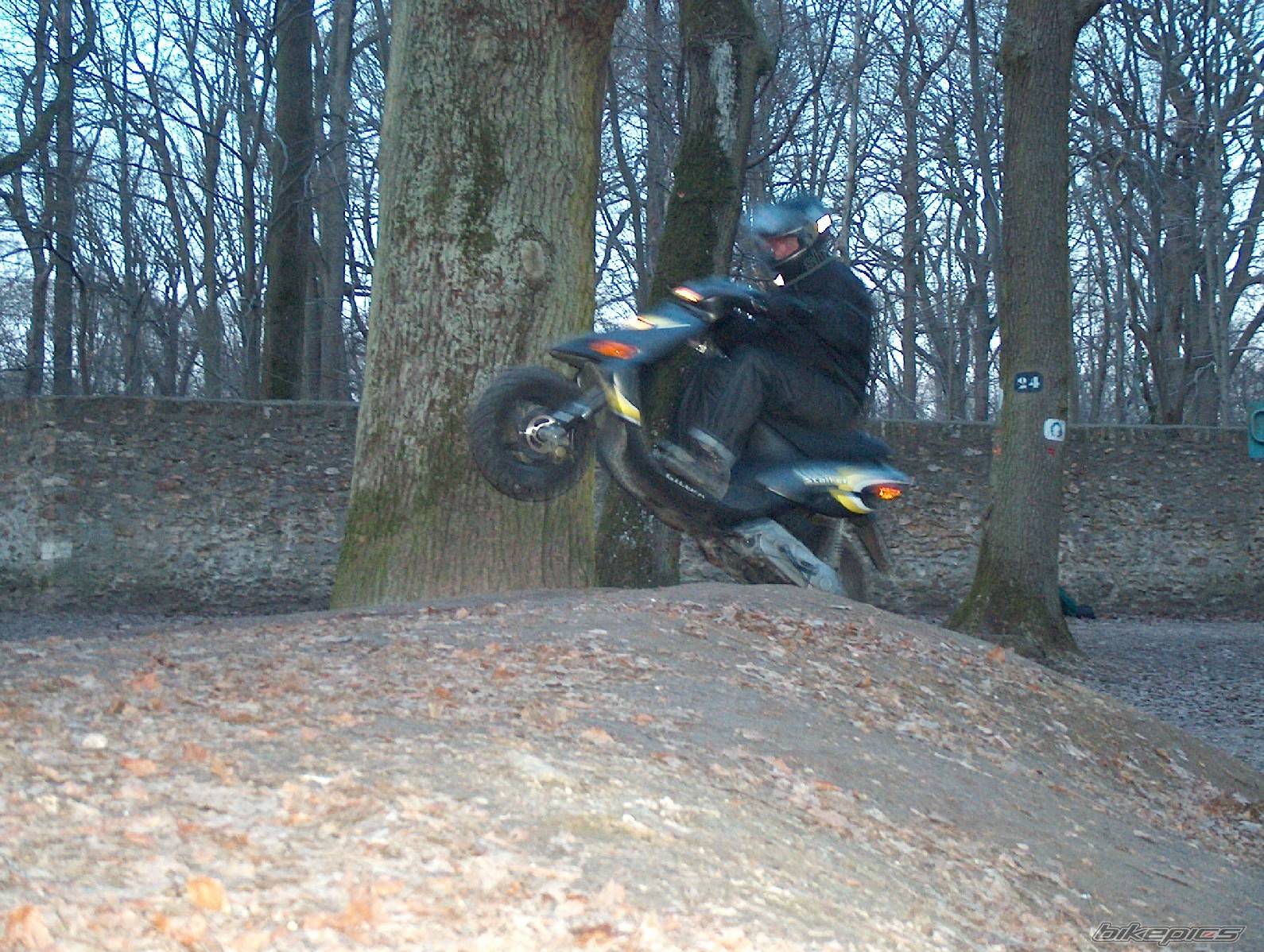 2003 GILERA STALKER 50 | Picture 113429 motorcycle photo