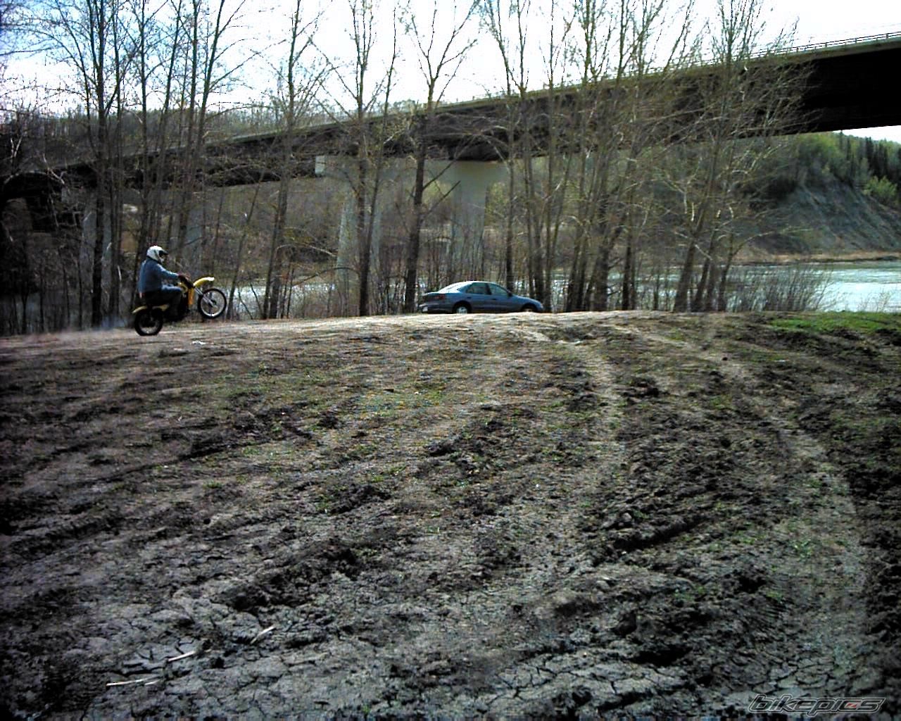 1981 YAMAHA YZ 80 | Picture 1134641 motorcycle photo