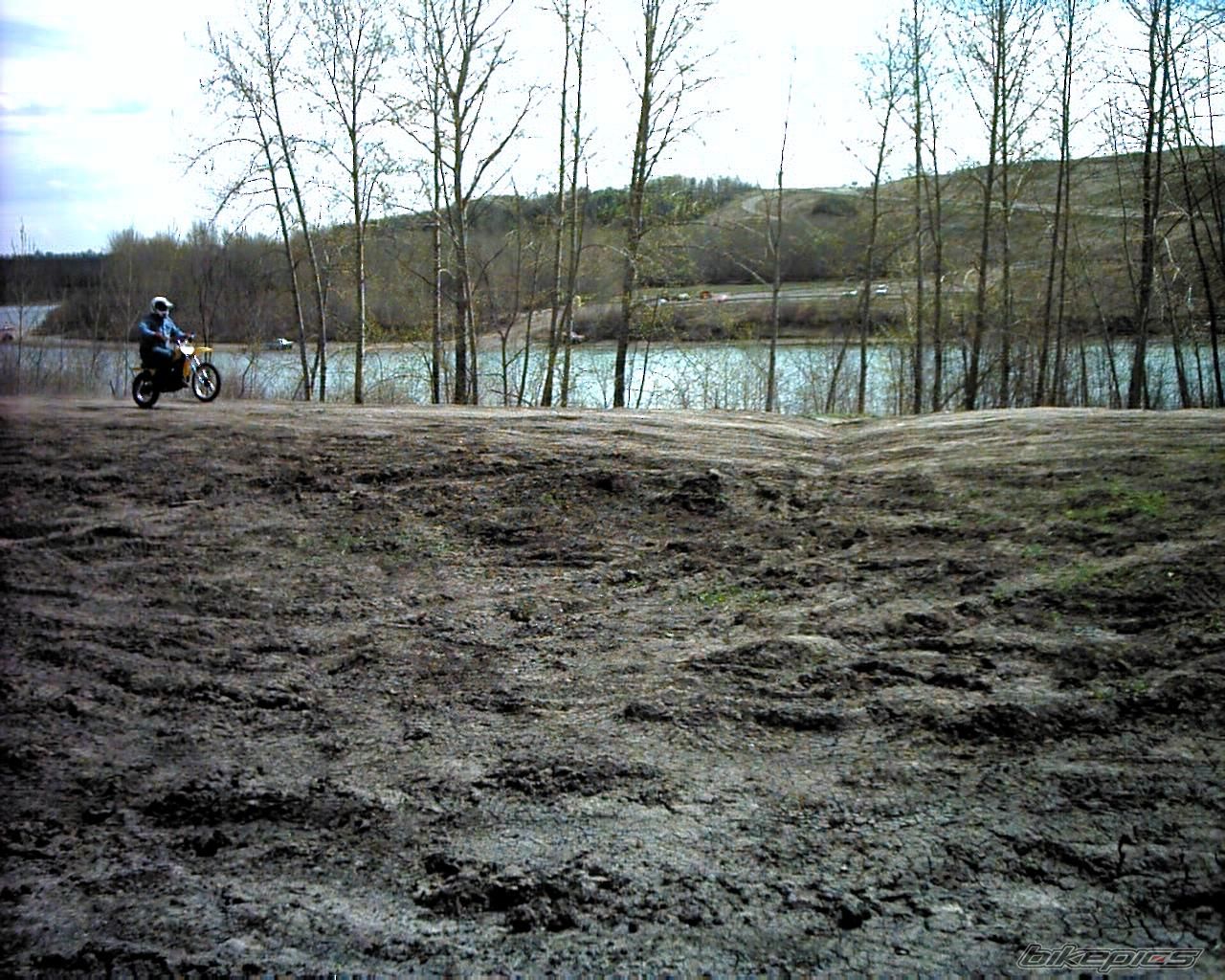 1981 YAMAHA YZ 80 | Picture 1134659 motorcycle photo