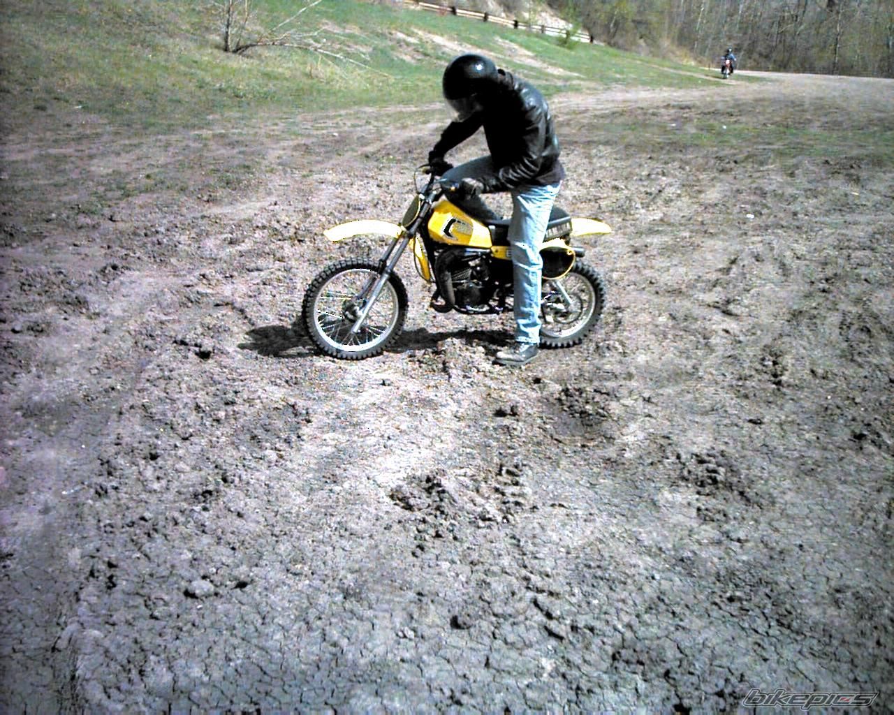 1981 YAMAHA YZ 80 | Picture 1134665 motorcycle photo