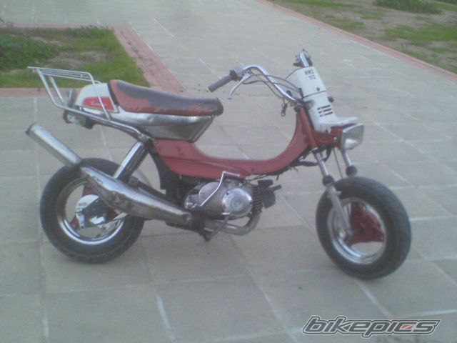 2008 SUZUKI LANDIE 50 | Picture 1135508 motorcycle photo
