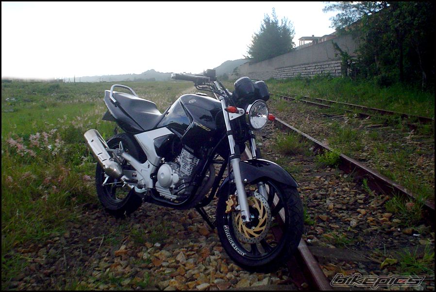 2007 YAMAHA FZR 250 | Picture 1135512 motorcycle photo