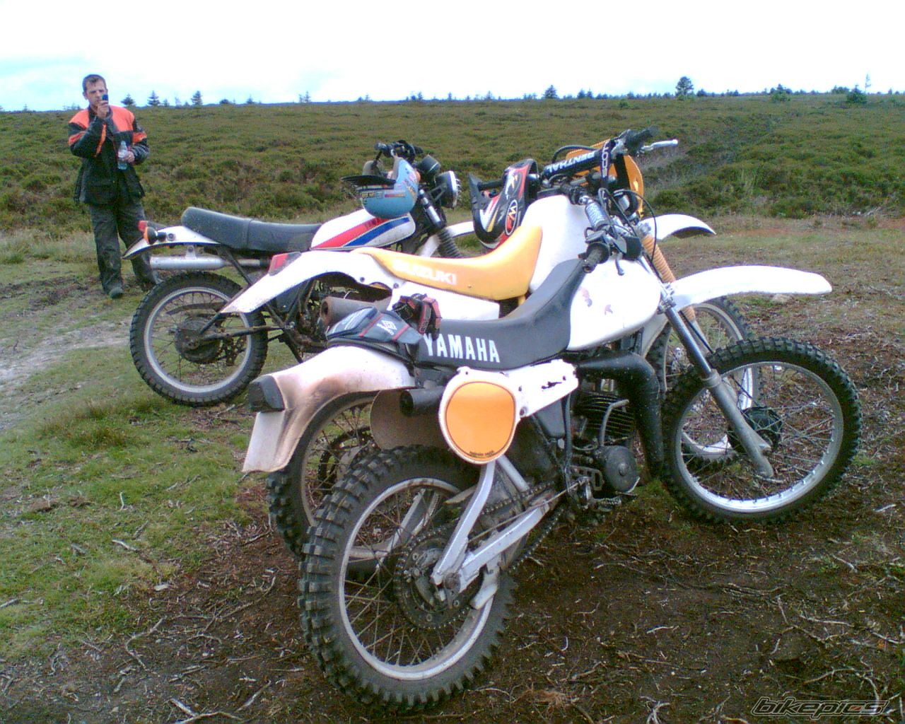 1981 YAMAHA IT 175 | Picture 1135685 motorcycle photo