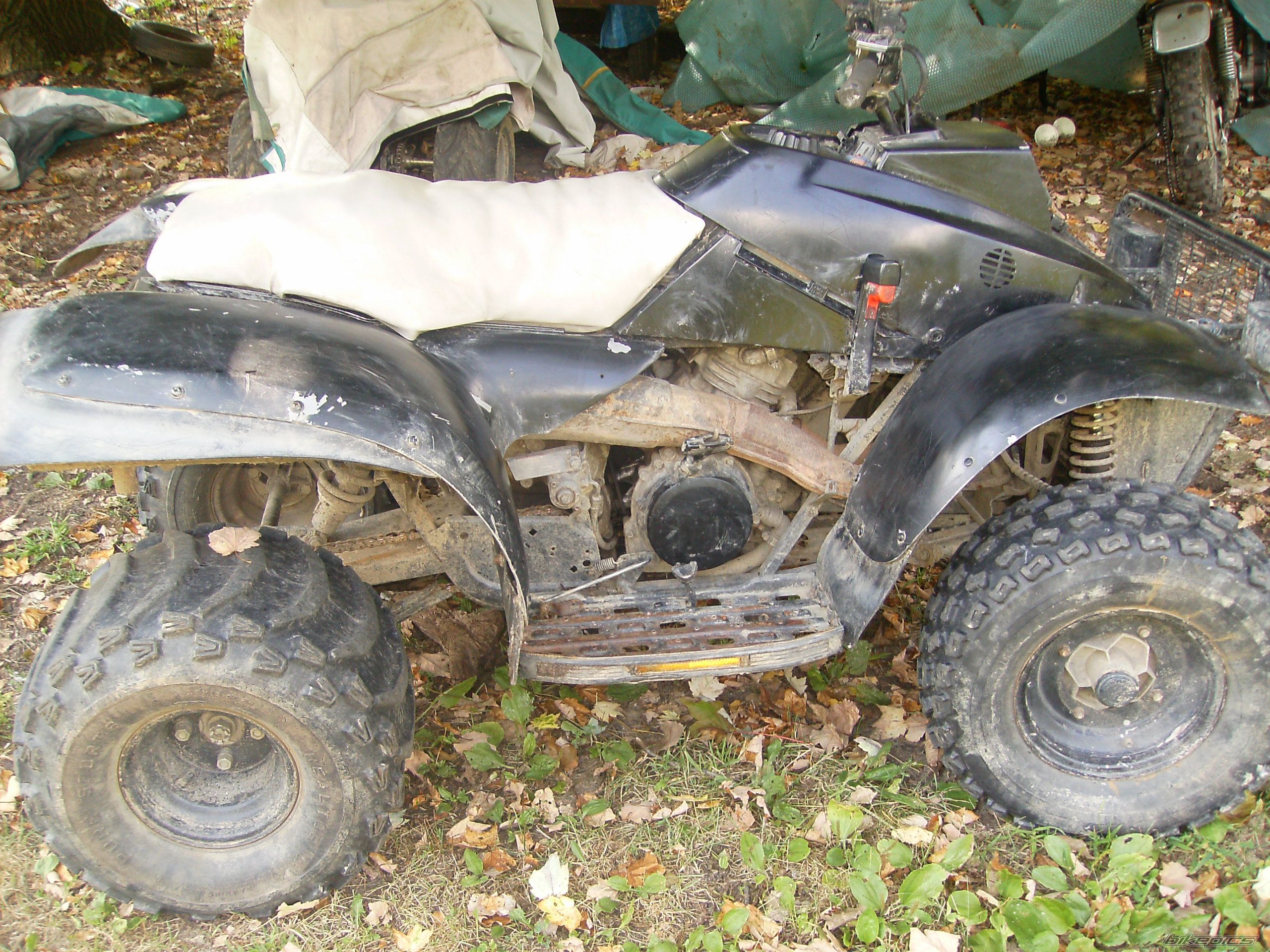 1992 POLARIS TRAIL BOSS 350 | Picture 1135921 motorcycle photo