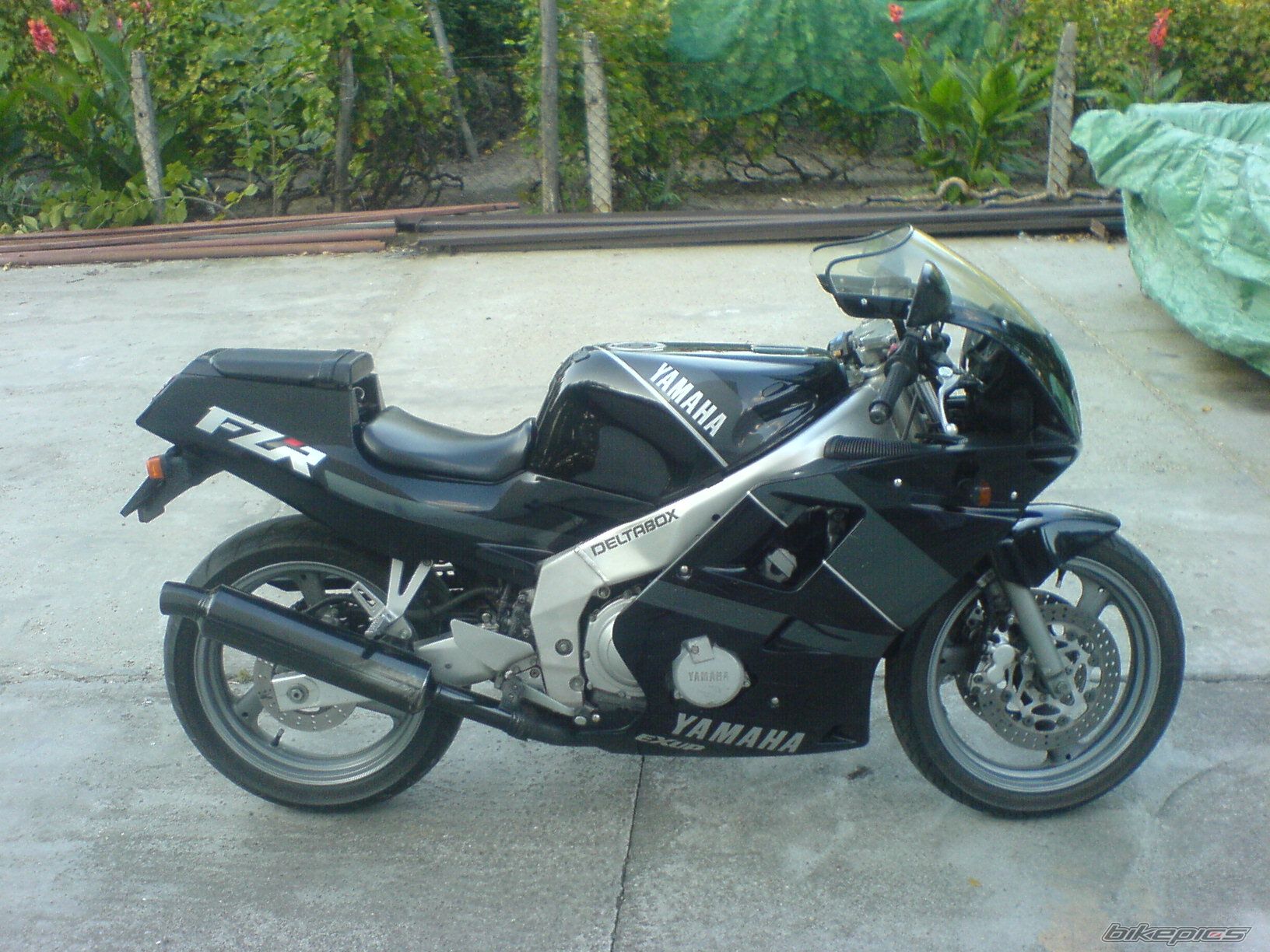 1990 YAMAHA FZR 250 EXUP | Picture 1136361 motorcycle photo