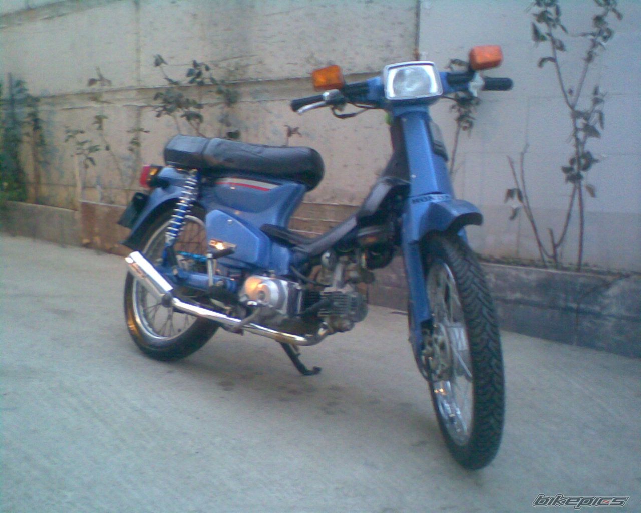 2008 HONDA GLX 50 | Picture 1136531 motorcycle photo