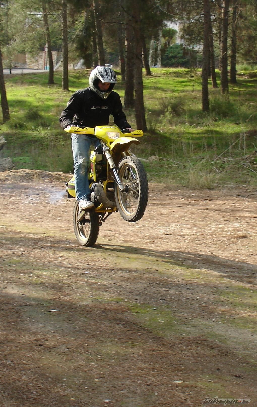 1999 SUZUKI RMX 50 | Picture 1136624 motorcycle photo