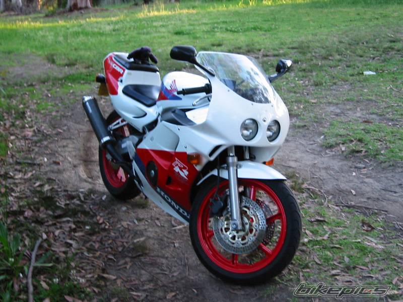 1991 HONDA CBR 250 | Picture 11367 motorcycle photo