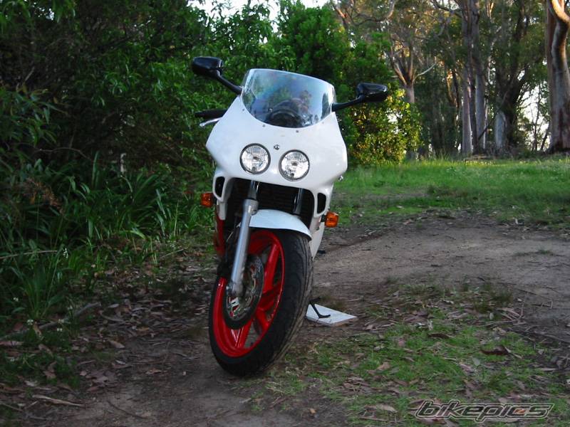 1991 HONDA CBR 250 | Picture 11369 motorcycle photo