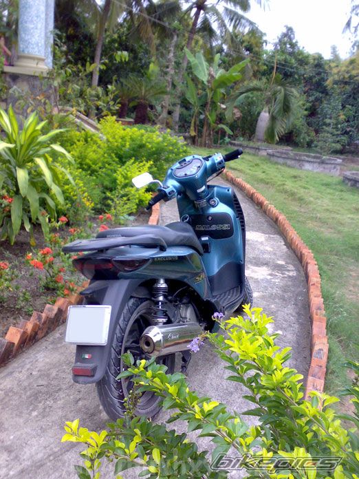2005 HONDA SH 150 | Picture 1137131 motorcycle photo