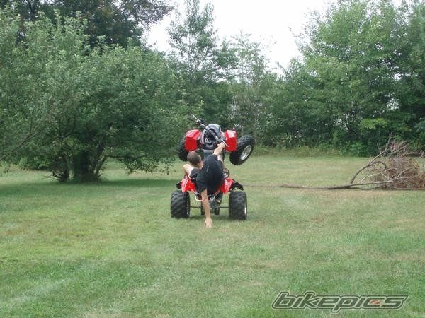 2006 ARCTIC CAT DVX 400 | Picture 1137243 motorcycle photo
