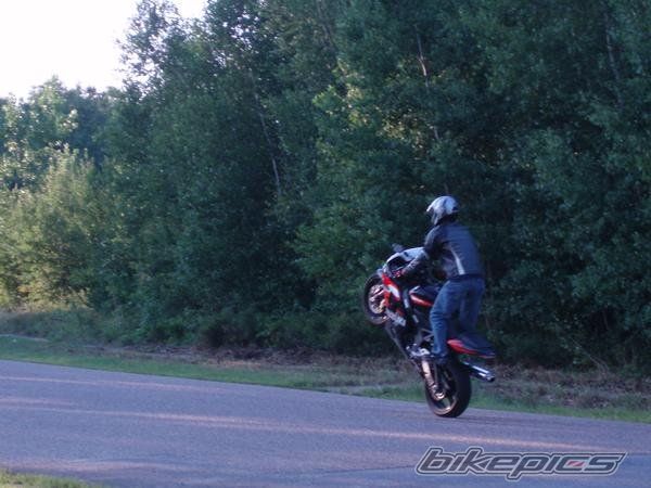 2004 SUZUKI GSX R 600 | Picture 1137251 motorcycle photo
