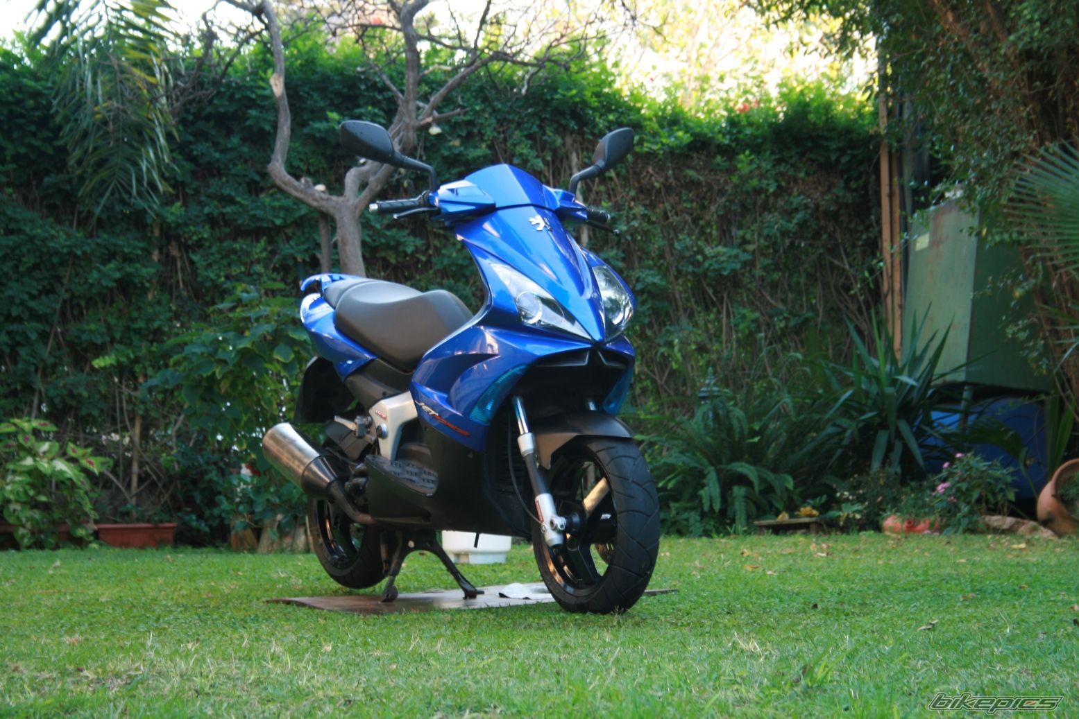 2004 PEUGEOT JET FORCE | Picture 1137480 motorcycle photo