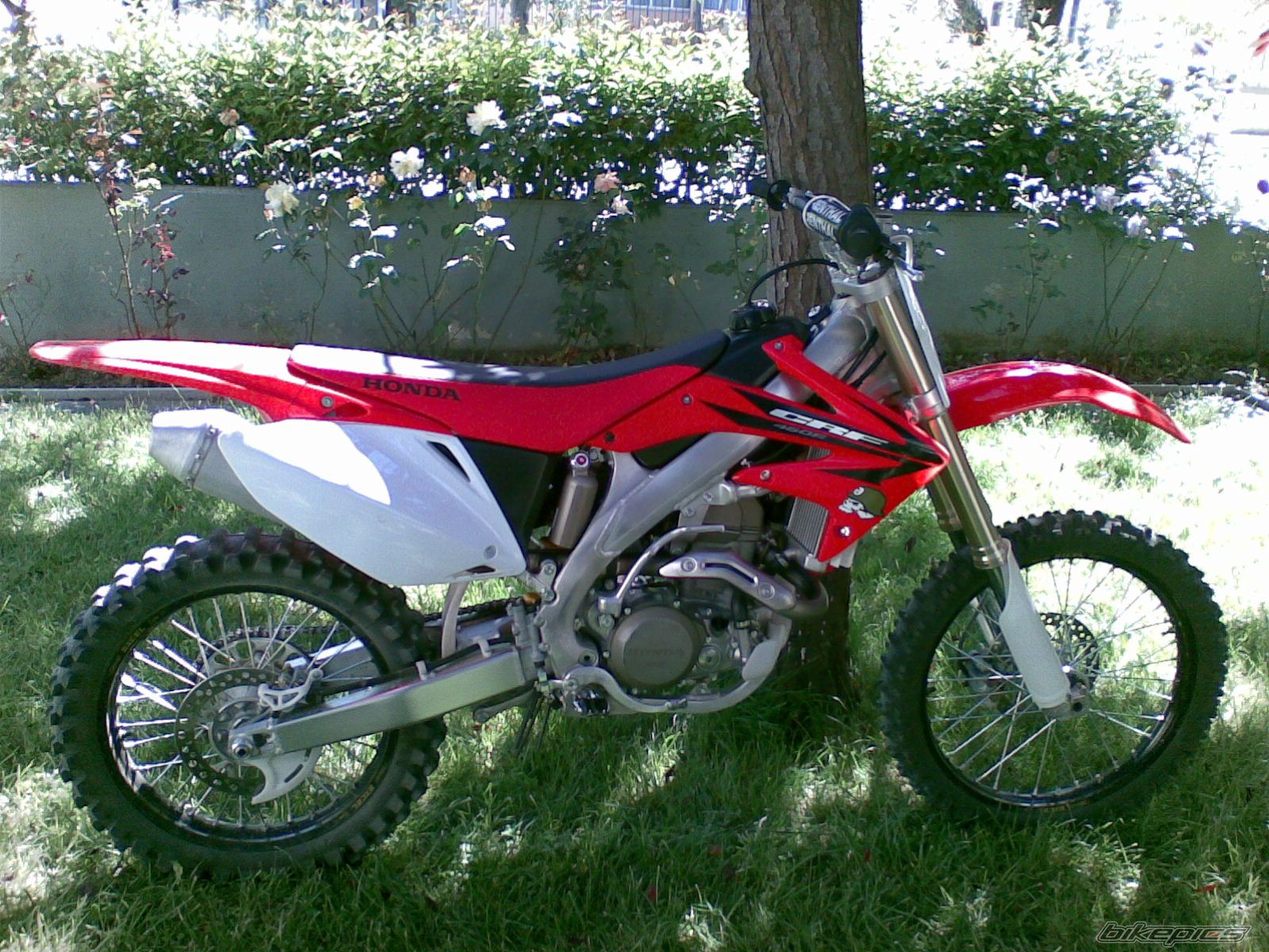 2006 HONDA CRF 450 | Picture 1137544 motorcycle photo