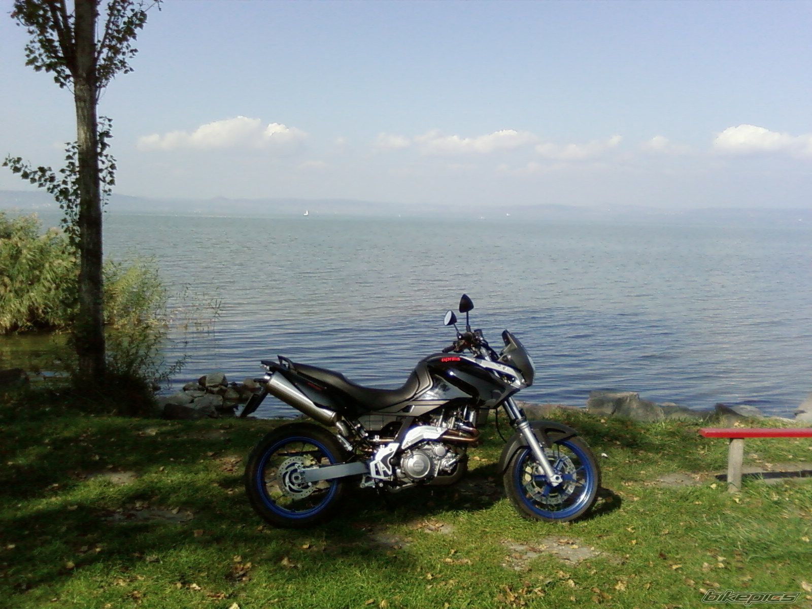 2006 APRILIA PEGASO 650 IE | Picture 1137667 motorcycle photo