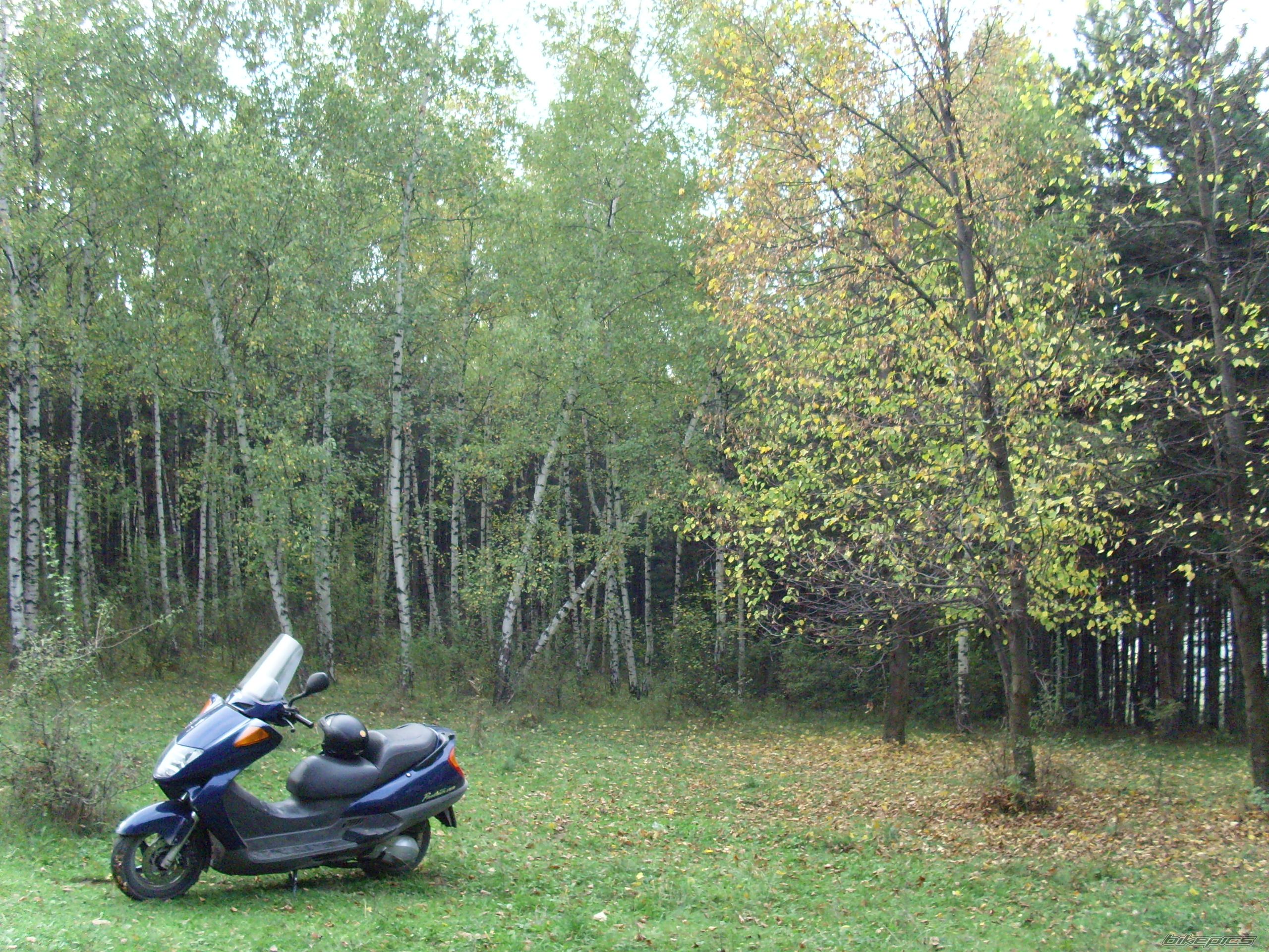 2002 HONDA PANTHEON | Picture 1138117 motorcycle photo