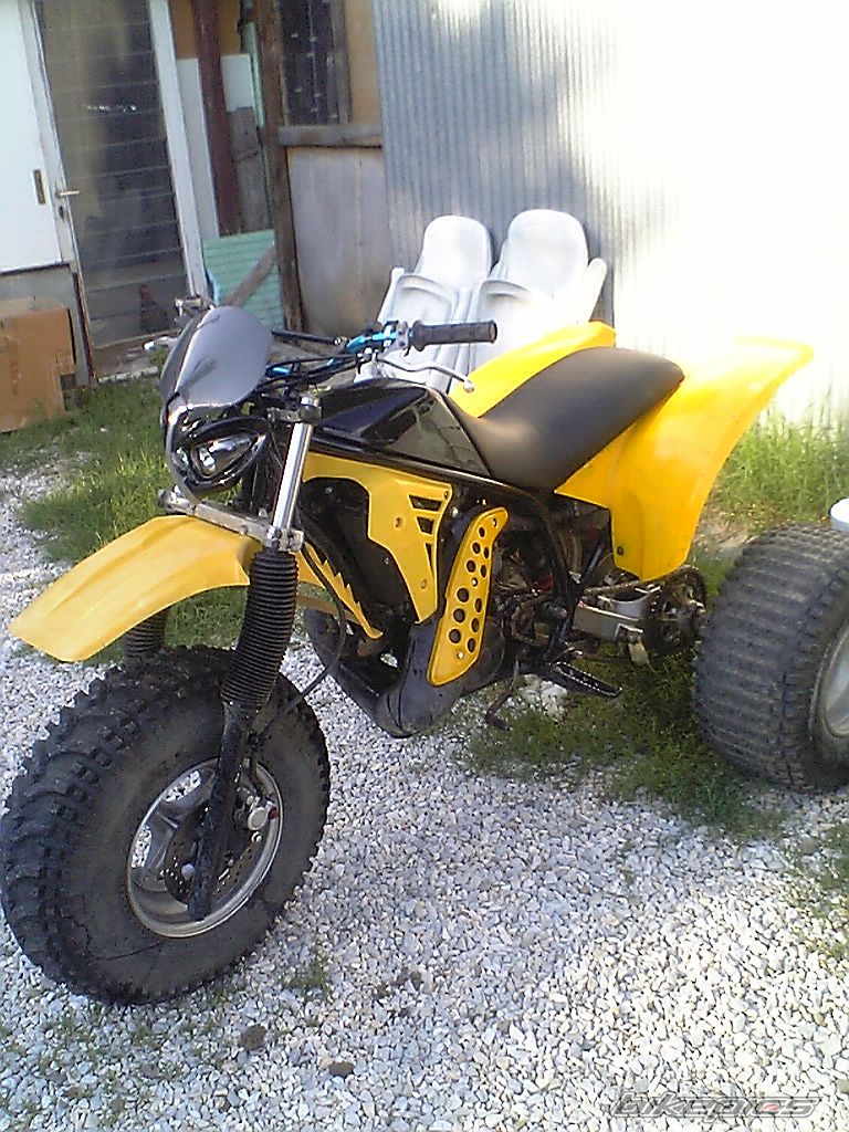 1985 YAMAHA TRI Z 250 | Picture 1138325 motorcycle photo