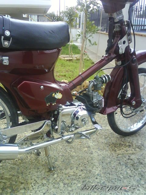 2008 HONDA GLX 50 | Picture 1138357 motorcycle photo