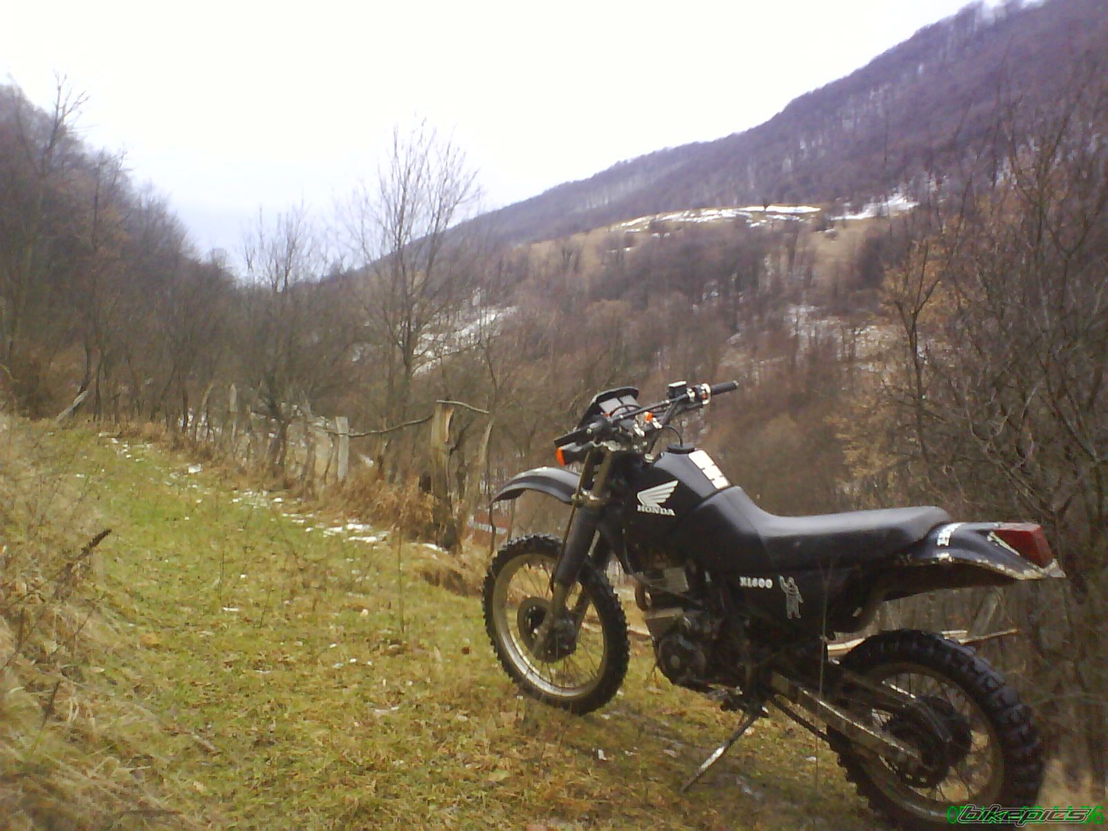 1986 HONDA XL 600 | Picture 1138947 motorcycle photo
