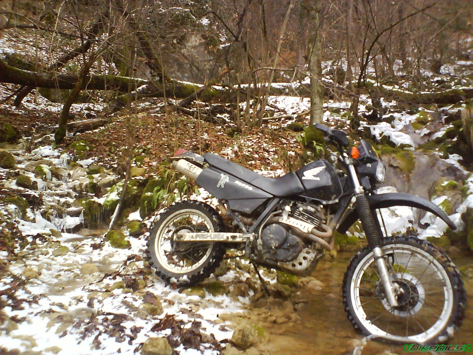 1986 HONDA XL 600 | Picture 1138952 motorcycle photo