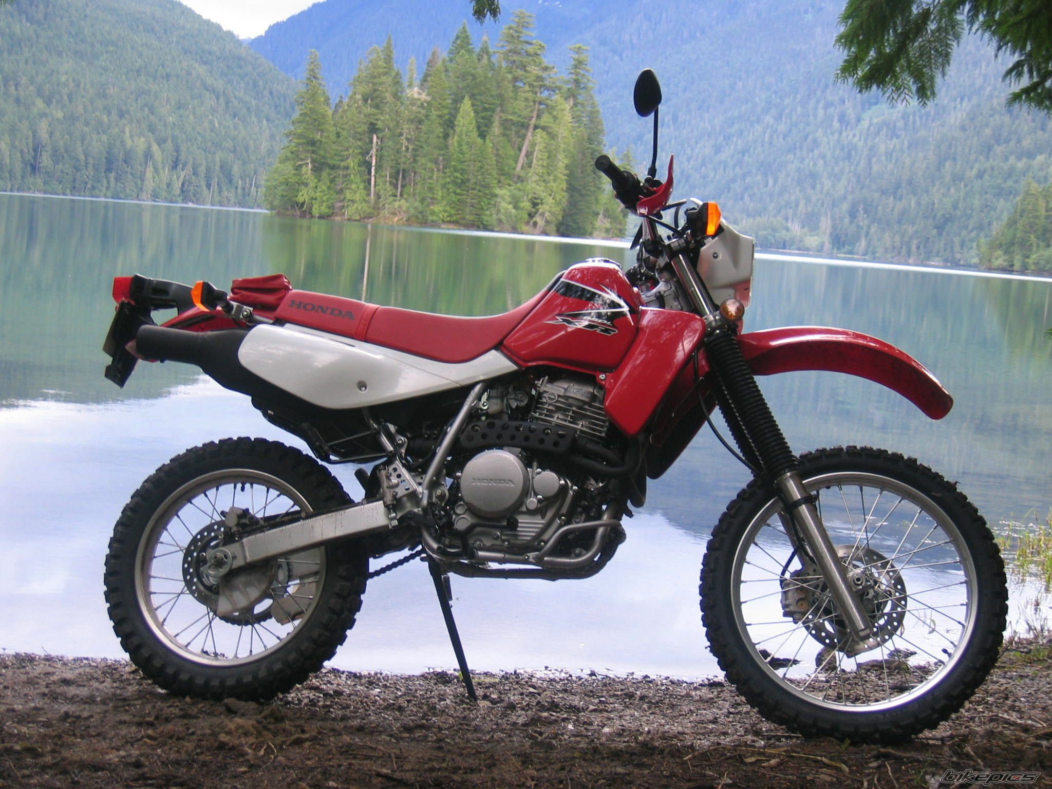 2008 HONDA XR 650 | Picture 1140069 motorcycle photo