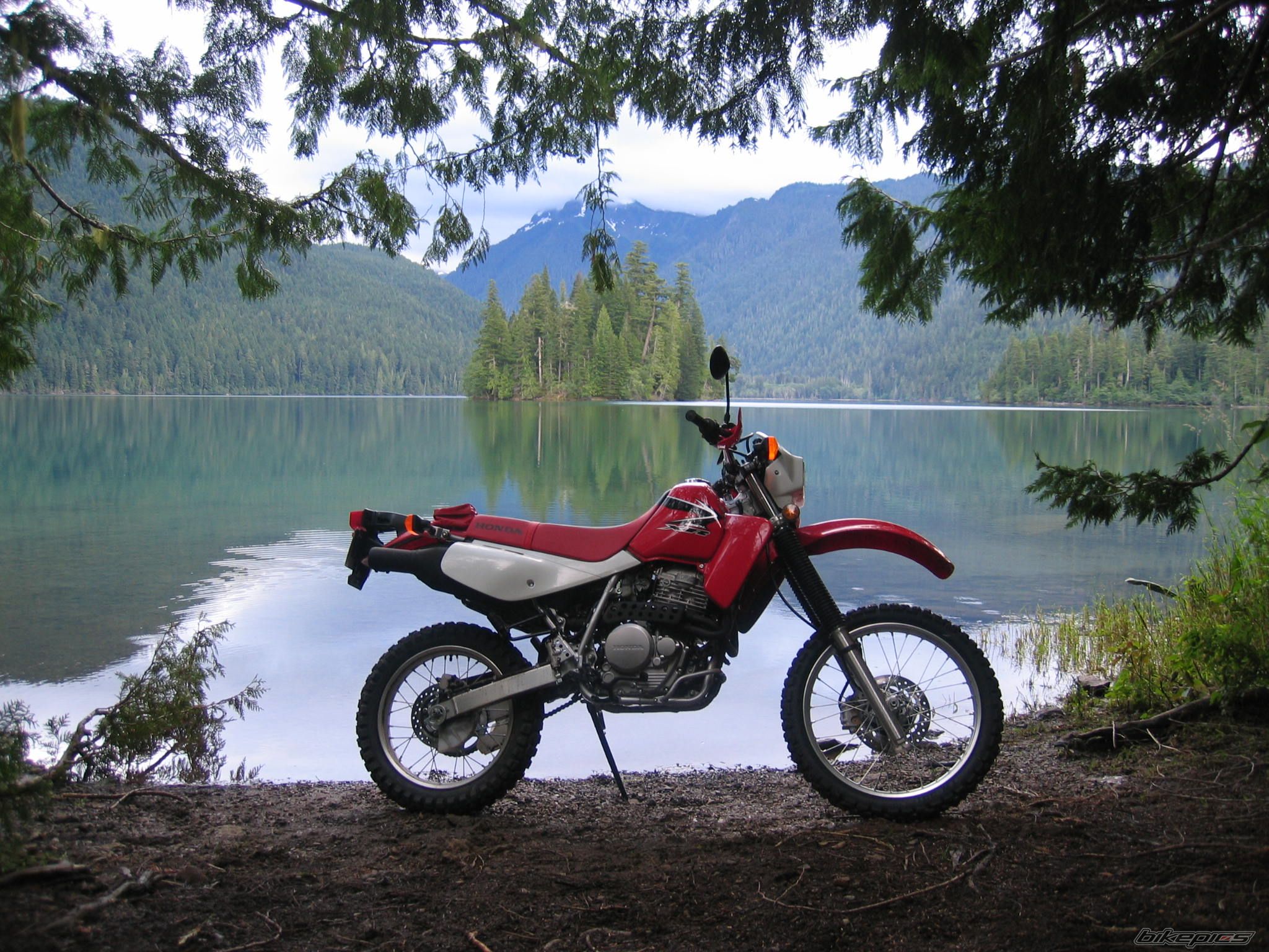 2008 HONDA XR 650 | Picture 1140127 motorcycle photo