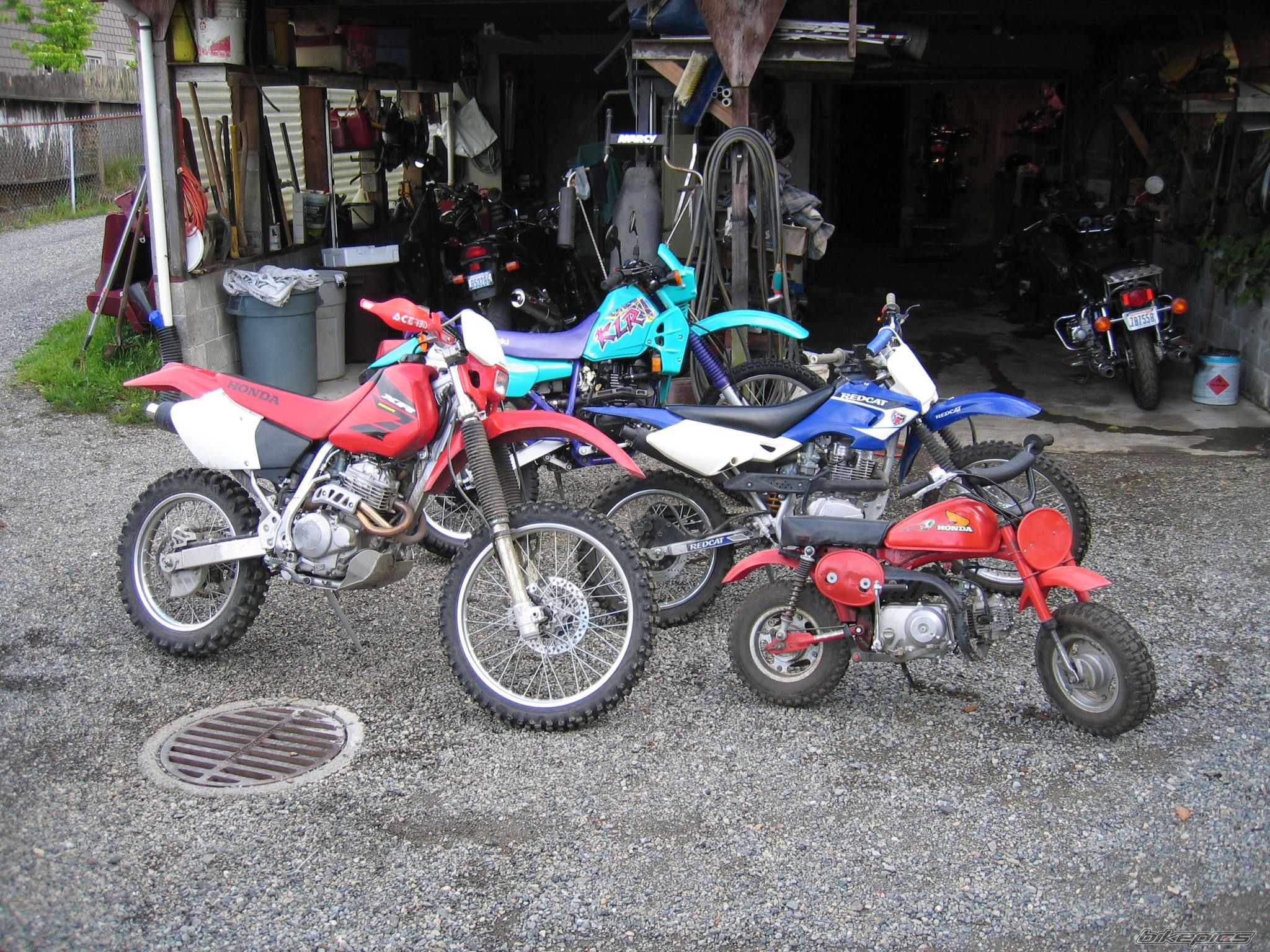 1981 HONDA Z 50 | Picture 1140144 motorcycle photo