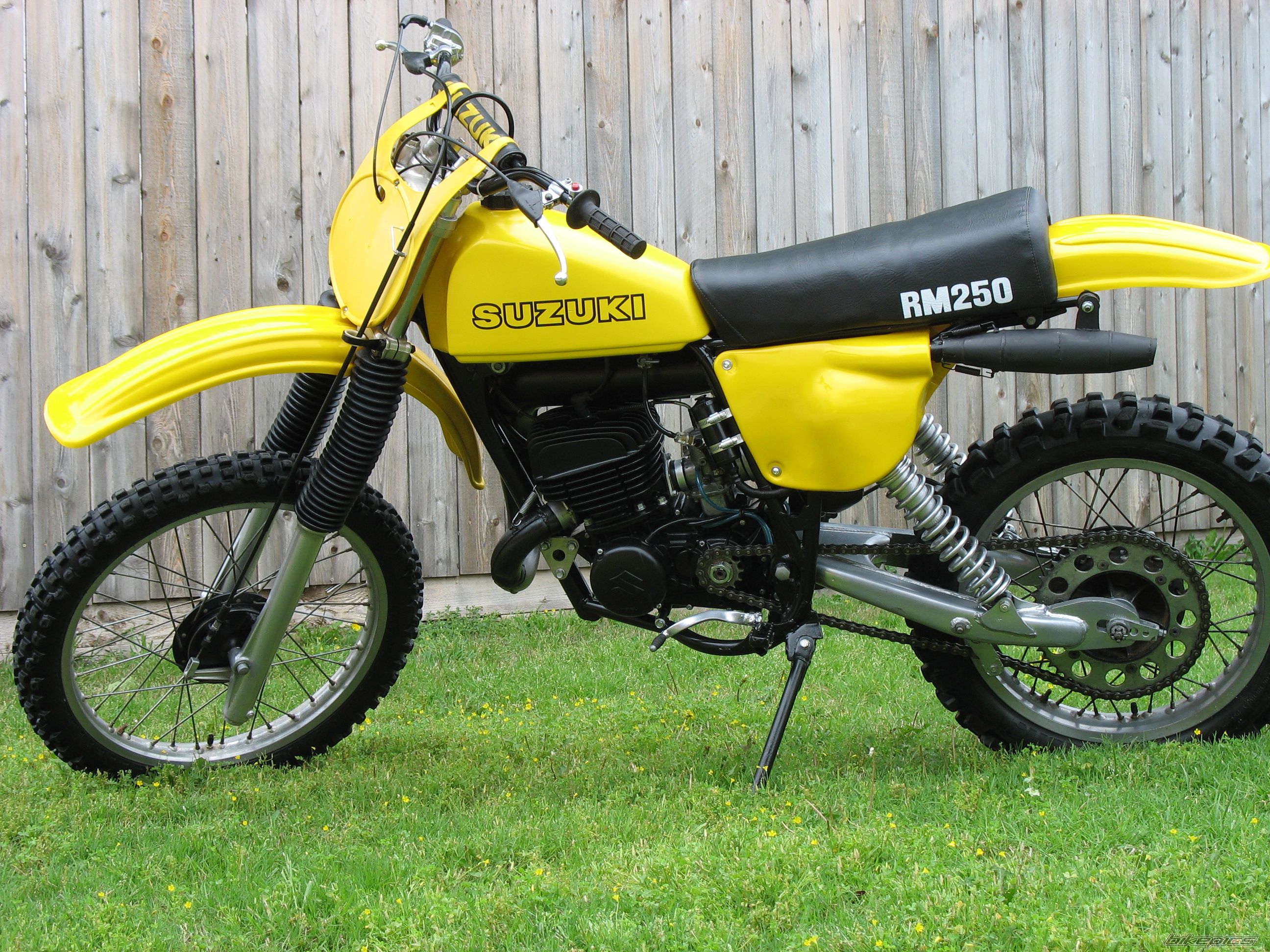 1978 SUZUKI RM 250 | Picture 1140360 motorcycle photo