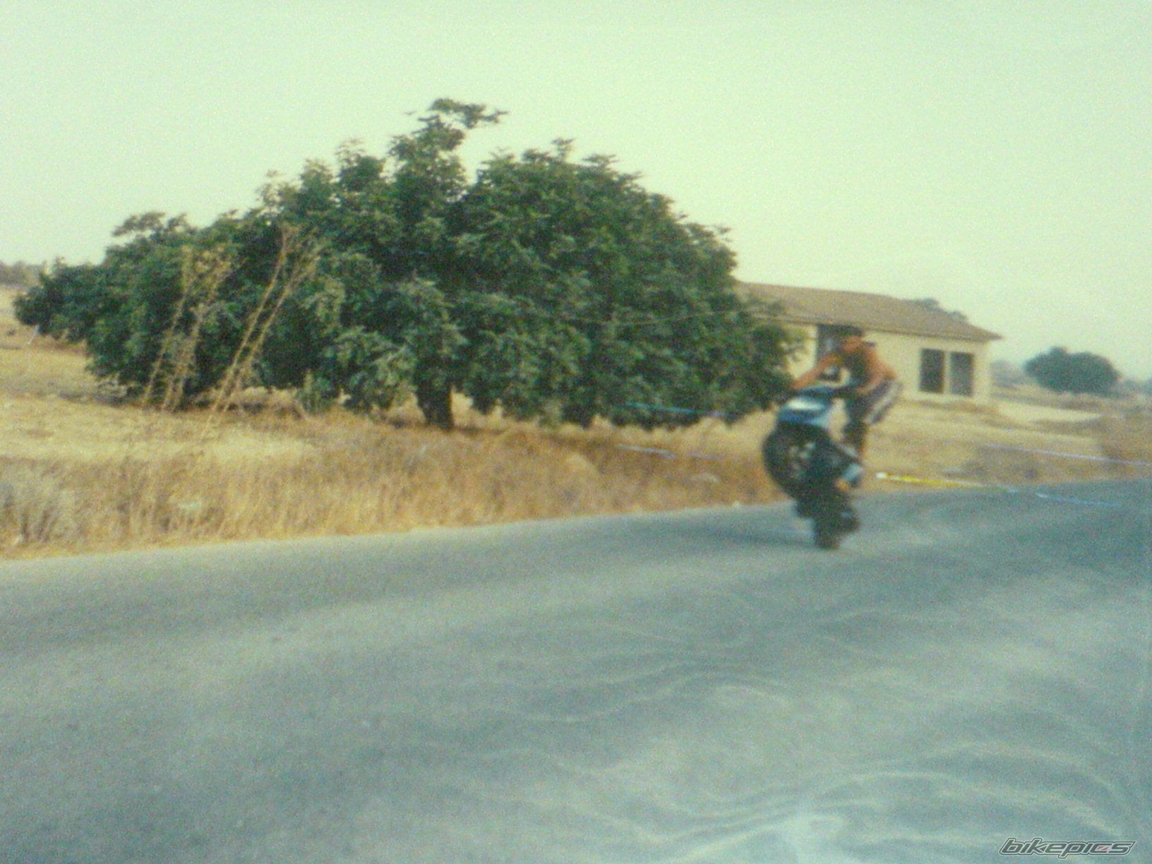 2008 PIAGGIO TPH 125 | Picture 1140546 motorcycle photo