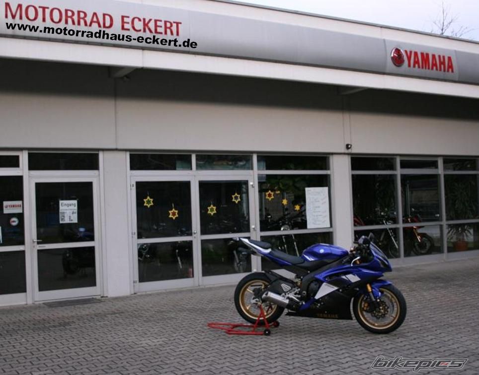 2008 YAMAHA YZF R6 | Picture 1140585 motorcycle photo