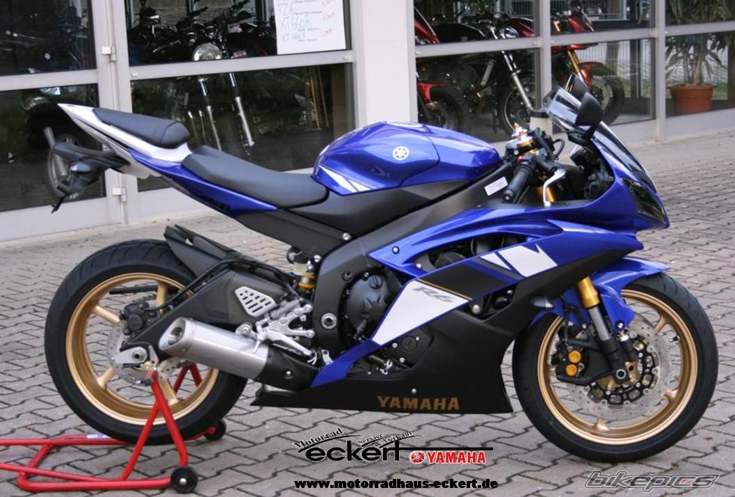 2008 YAMAHA YZF R6 | Picture 1140595 motorcycle photo