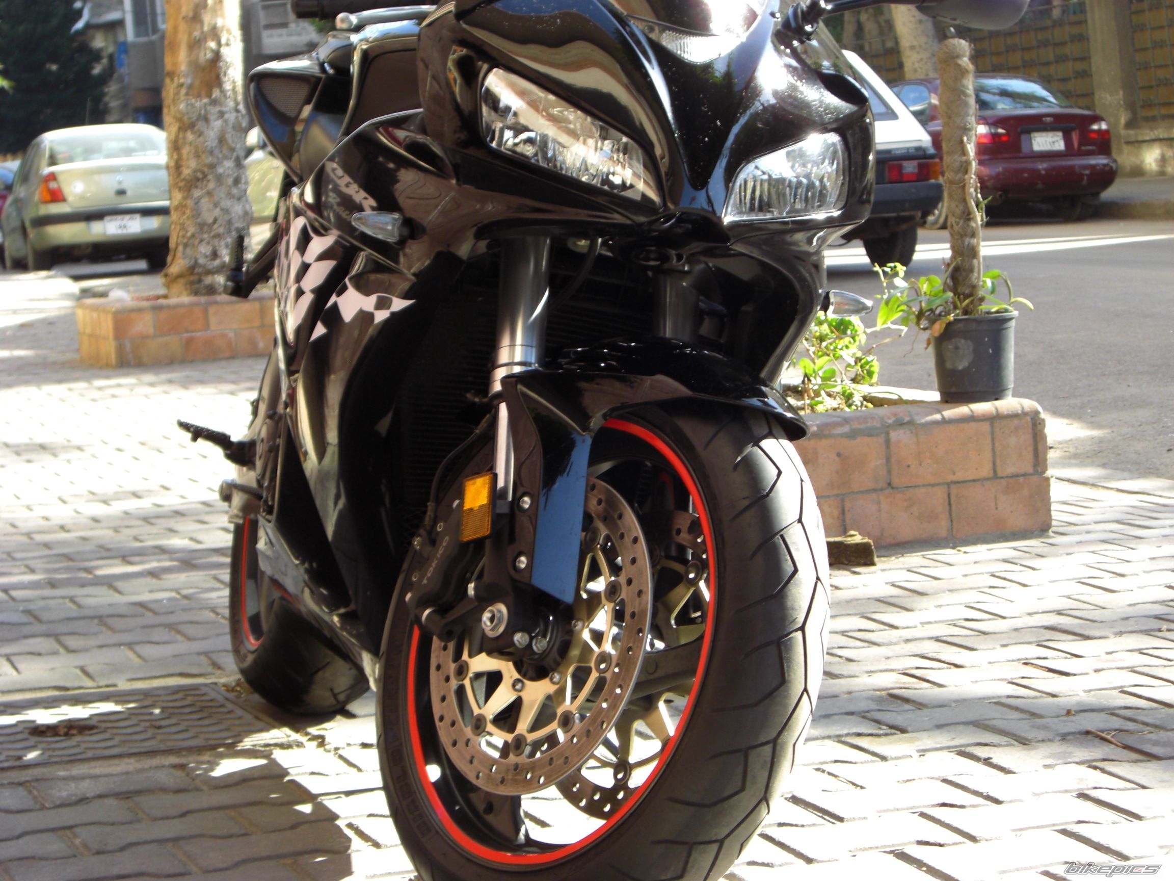 2006 HONDA CBR 1000  RR | Picture 1141007 motorcycle photo