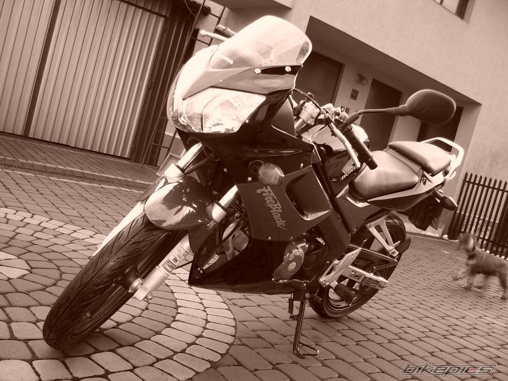 2005 HONDA CBR 125 | Picture 1141160 motorcycle photo