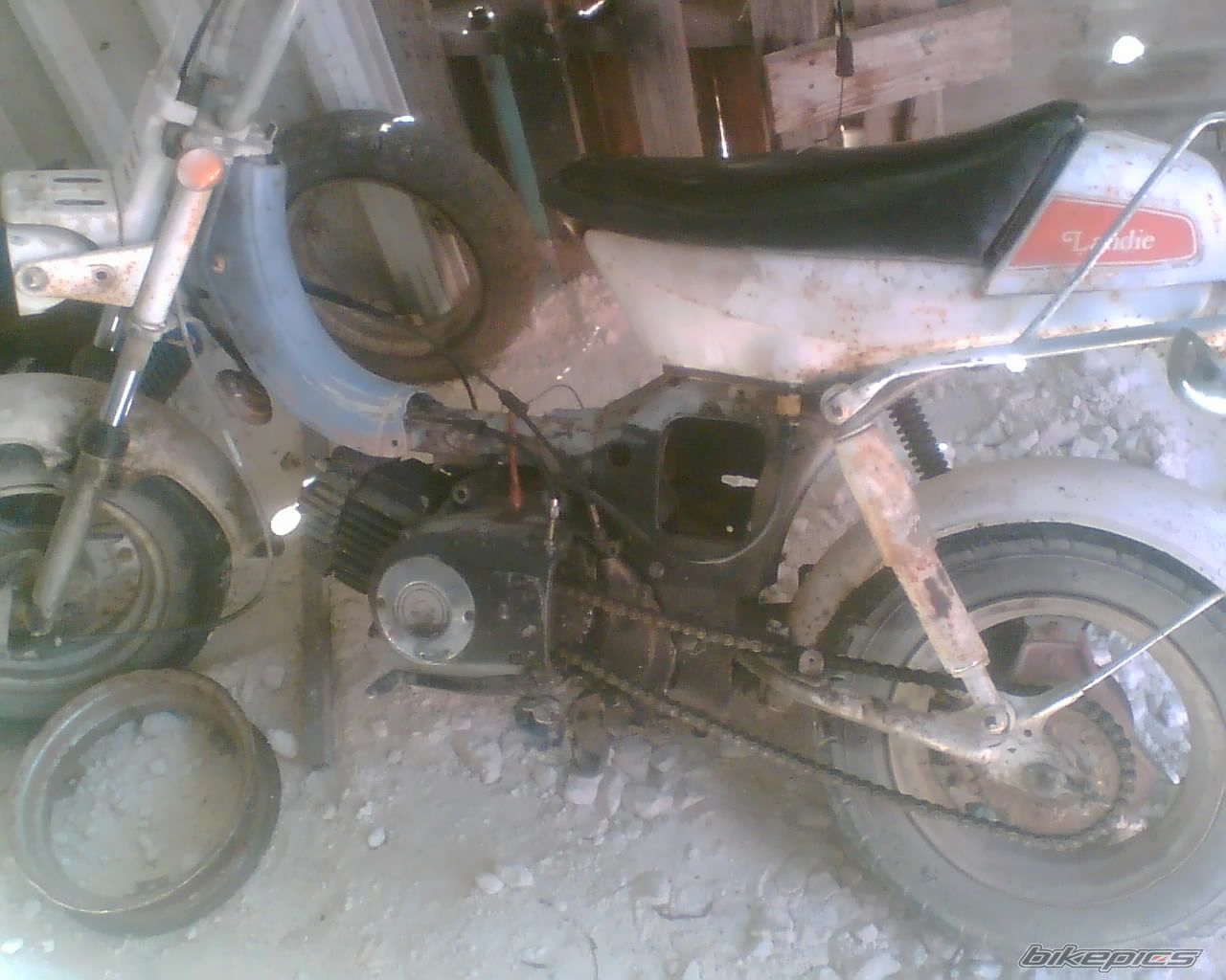 2009 SUZUKI RV 90 | Picture 1141164 motorcycle photo
