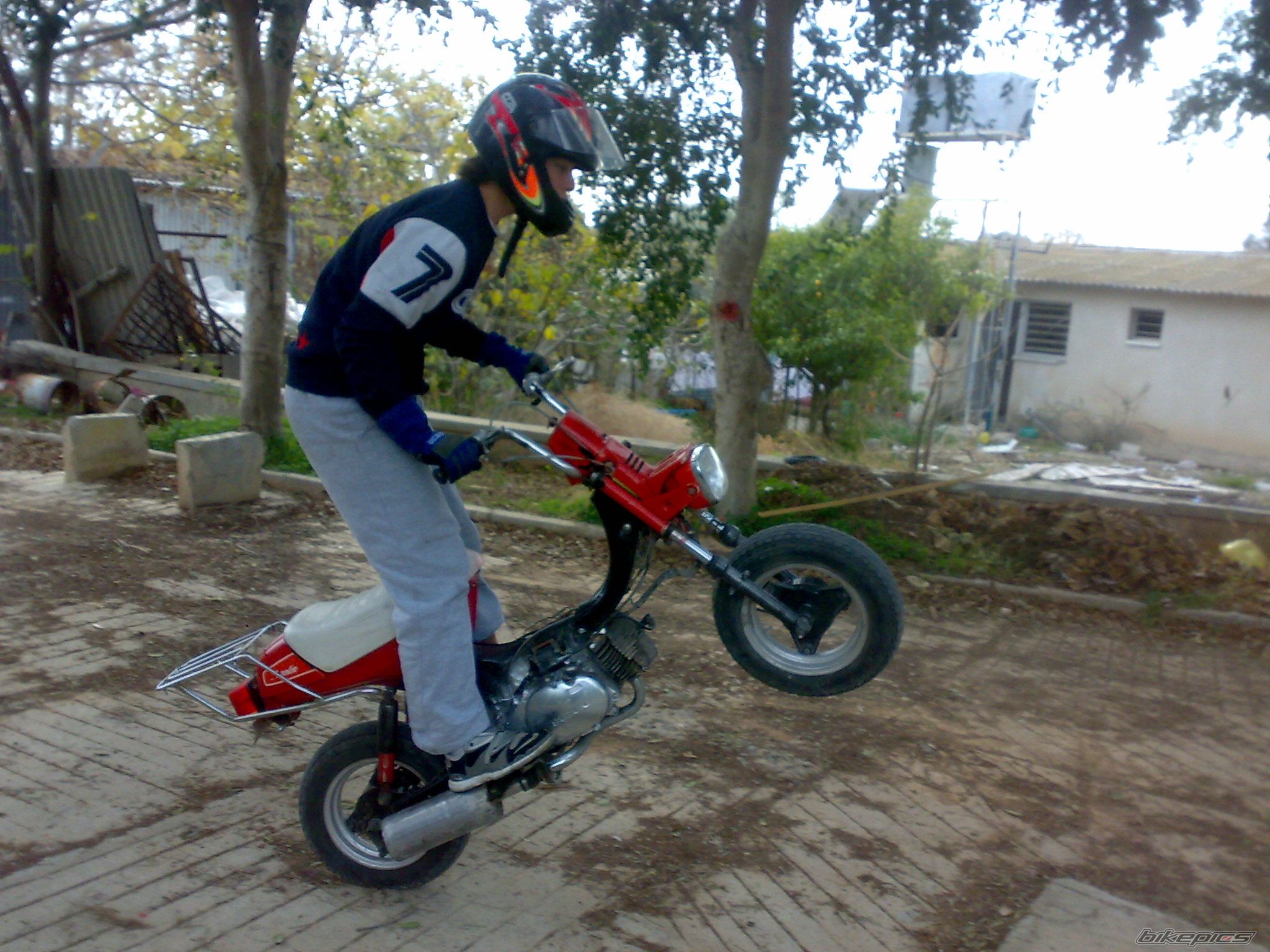 2008 SUZUKI LANDIE 50CC | Picture 1141288 motorcycle photo