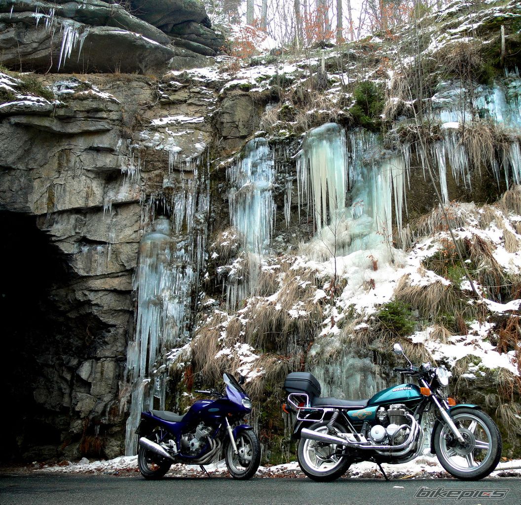 1981 HONDA CB 650 | Picture 1141430 motorcycle photo
