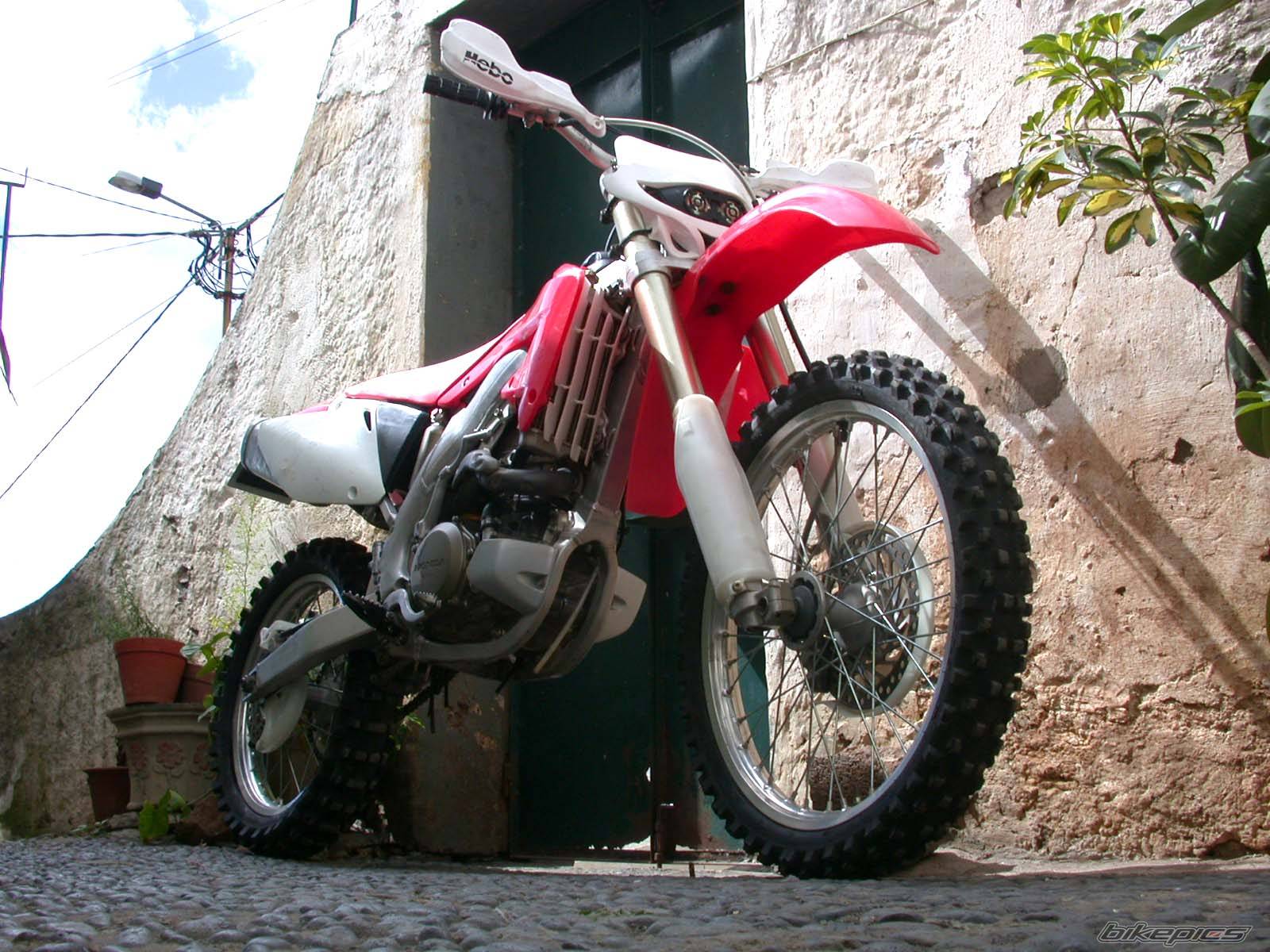 2003 HONDA CRF 450 | Picture 114158 motorcycle photo