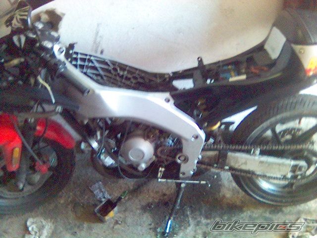 2001 APRILIA RS 50 | Picture 1142580 motorcycle photo