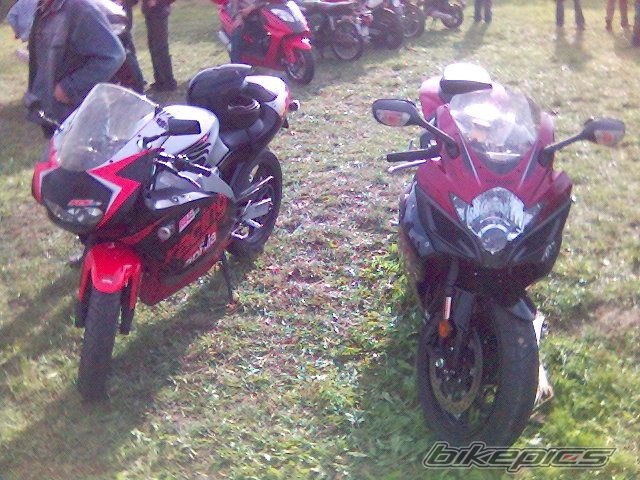 2001 APRILIA RS 50 | Picture 1142582 motorcycle photo