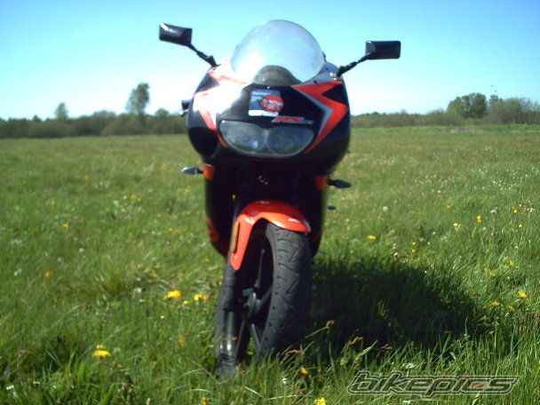 2001 APRILIA RS 50 | Picture 1142603 motorcycle photo