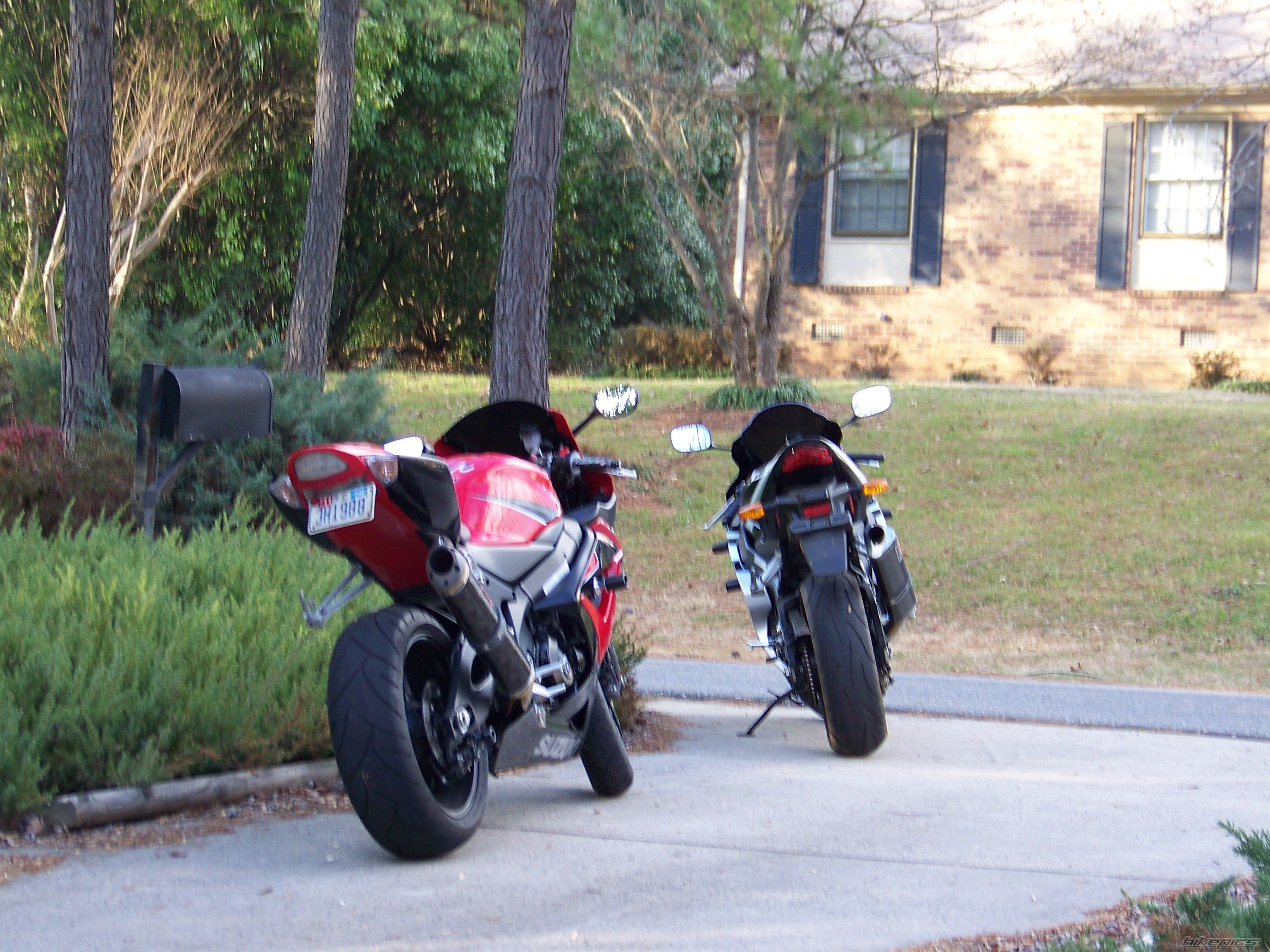 2005 SUZUKI GSX R 1000 | Picture 1142805 motorcycle photo