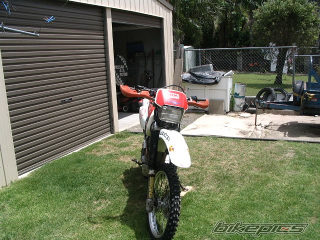 1997 HONDA XR 400 | Picture 1142878 motorcycle photo