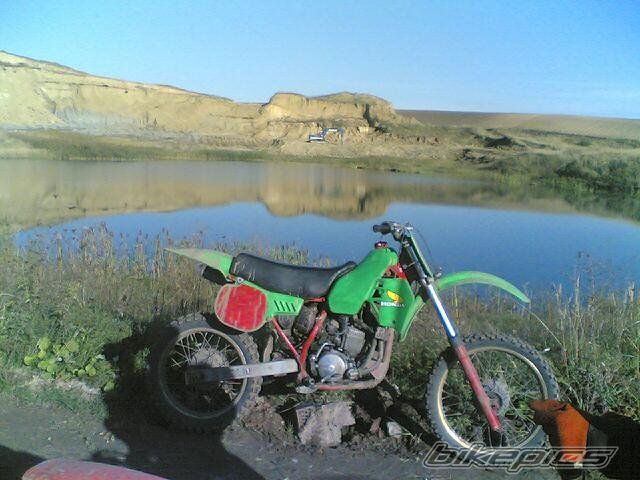 1992 CZ 125 CROSS | Picture 1143127 motorcycle photo