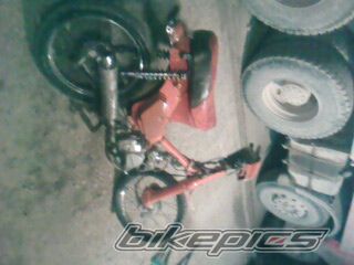 2008 YAMAHA F1 ZR | Picture 1143222 motorcycle photo