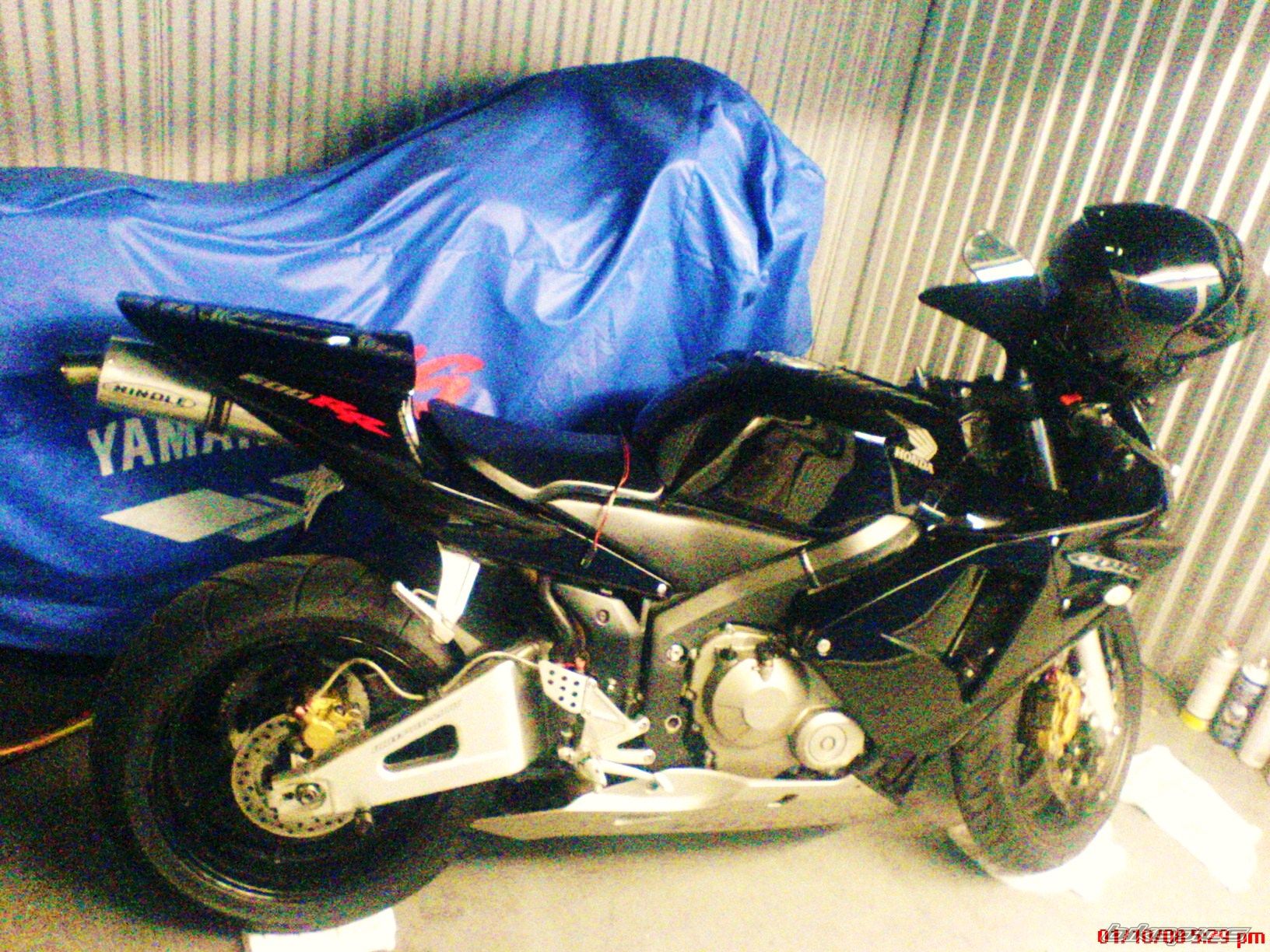 2003 HONDA CBR 600 RR | Picture 1143592 motorcycle photo