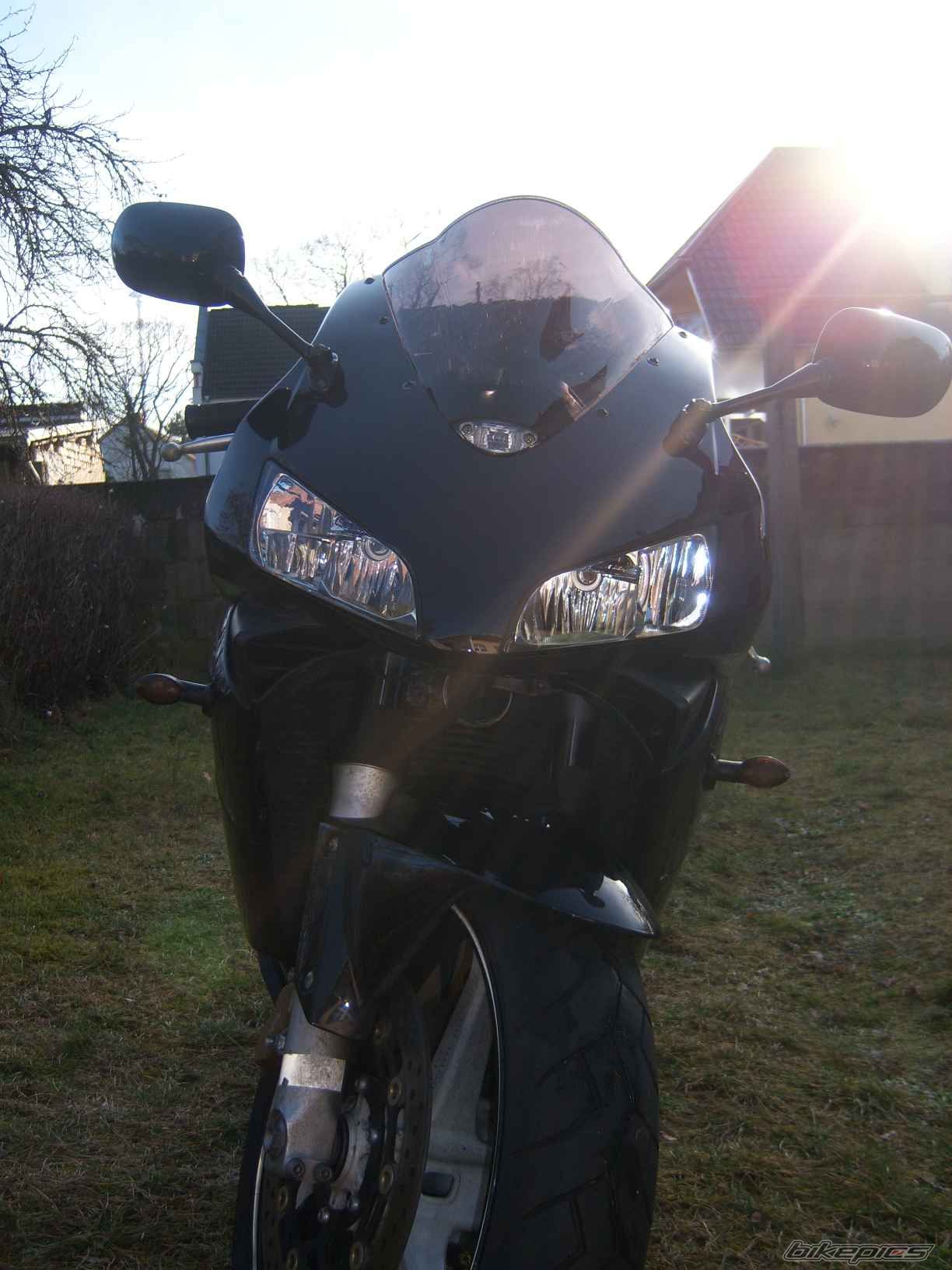 2003 HONDA CBR 600 RR | Picture 1143966 motorcycle photo
