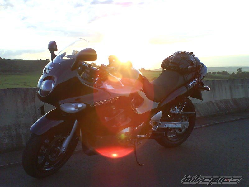 2008 SUZUKI GSX 750F | Picture 1143967 motorcycle photo