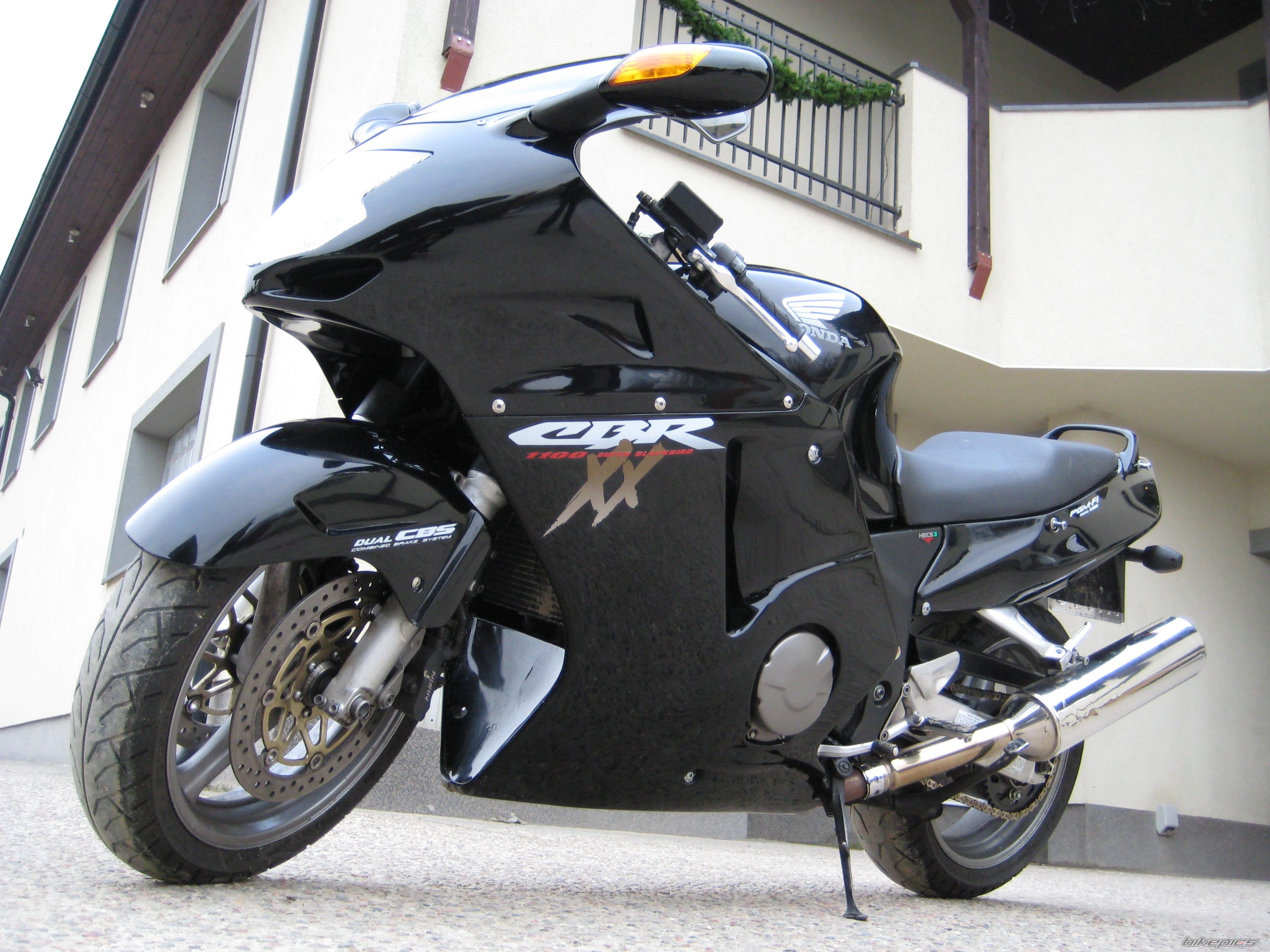 2001 HONDA CBR 1100 BLACKBIRD | Picture 1144152 motorcycle photo